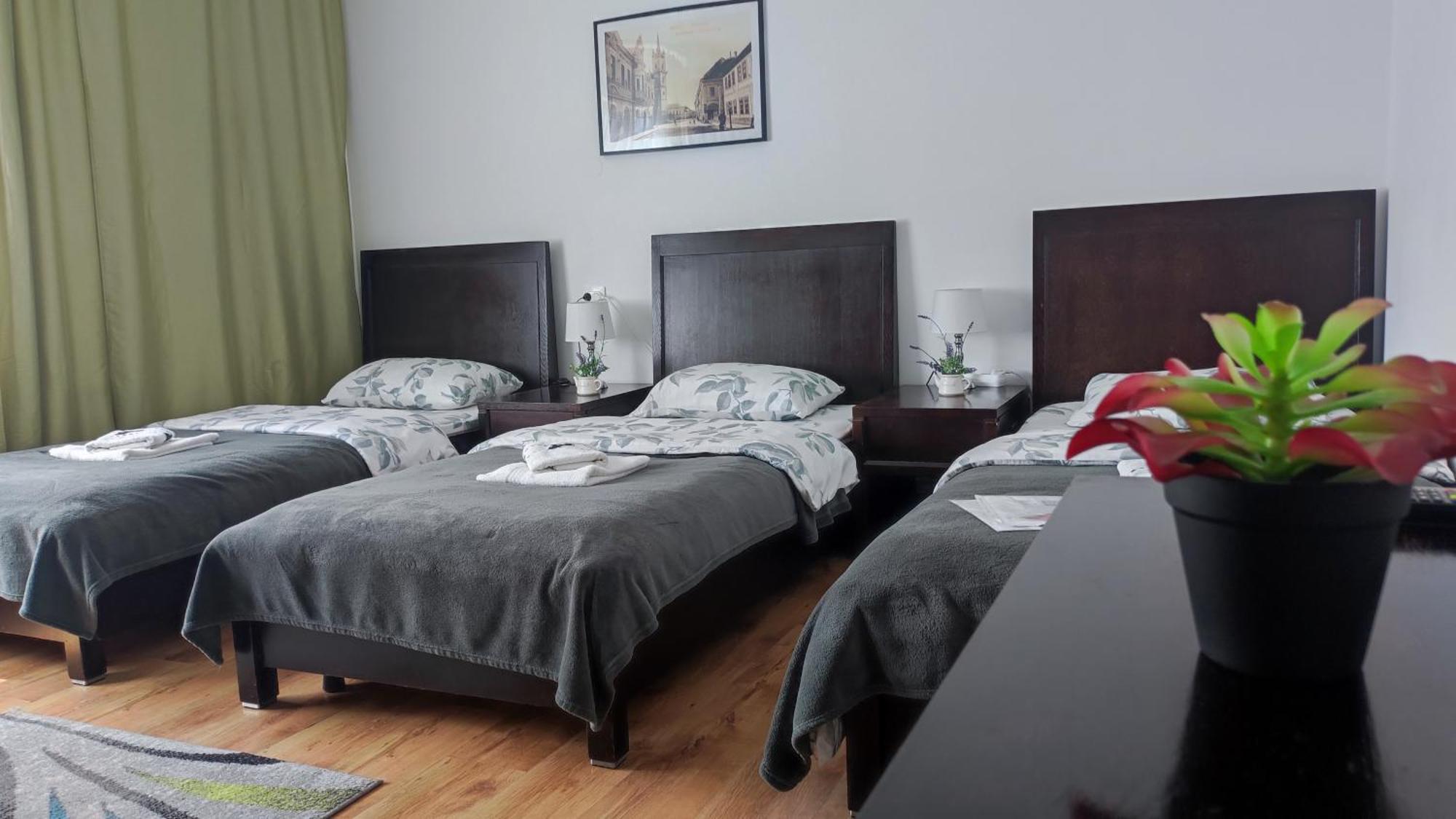 Casa De Oaspeti Wallendorf Bistrita Unirea Quarto foto